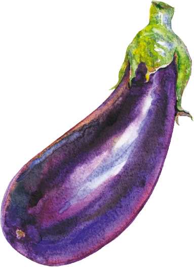 sudnsol aubergine