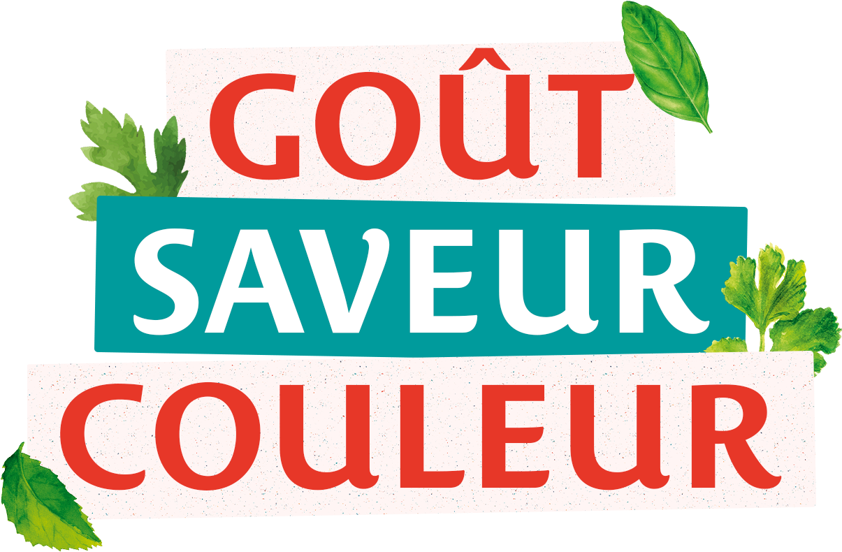 sudnsol logo gout saveur couleur