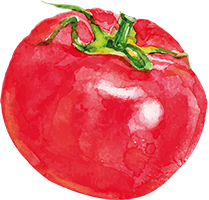 sudnsol tomate 2 animation logo accueil